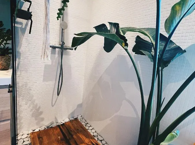 アパート Spacious Designer Duplex Next To Park アムステルダム