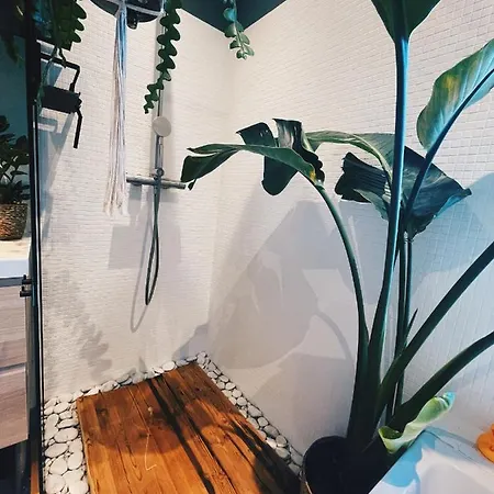 アパート Spacious Designer Duplex Next To Park アムステルダム